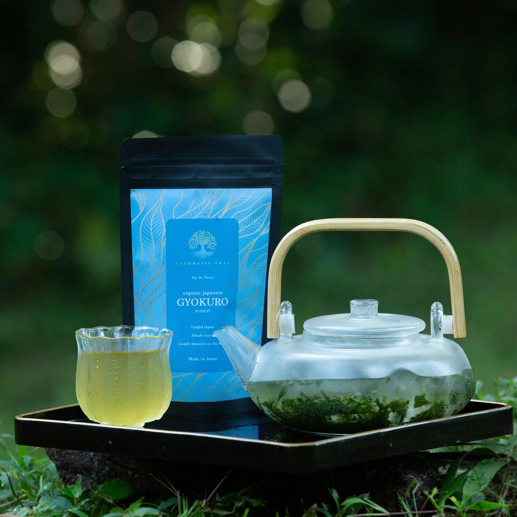 Concentrate Bird's Nest with Gyokuro Green Tea Leaves