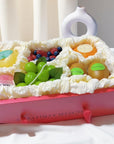 Concentrate Bird's Nest with Fruit Box