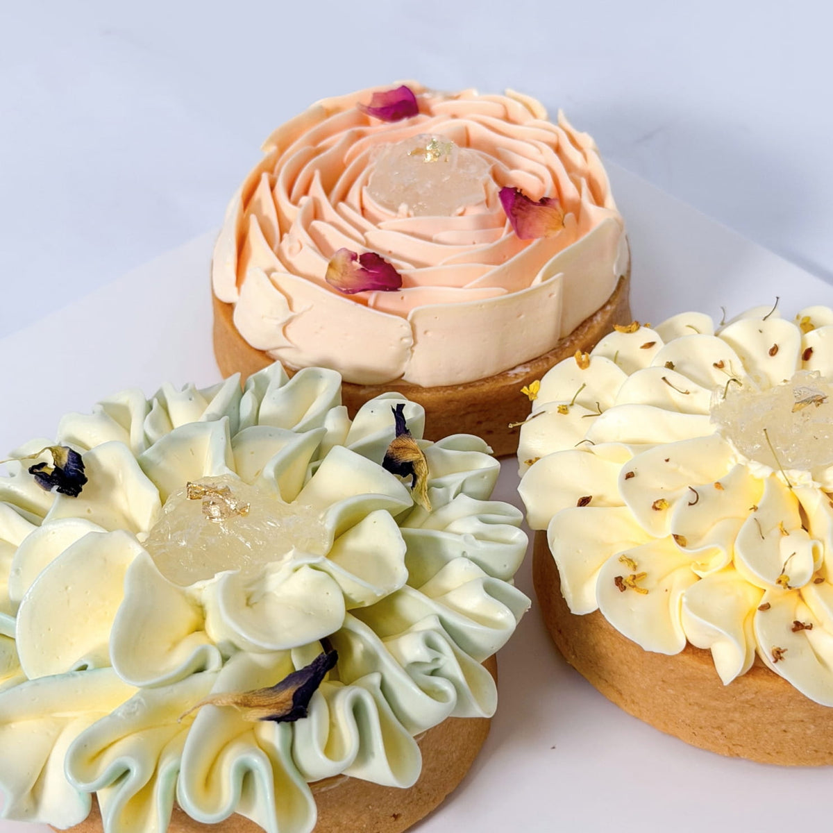 Concentrate Bird's Nest with Bird's Nest Flower Series Cheese Tarts (3 Pieces)
